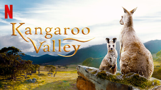 ดูหนัง ออนไลน์ Kangaroo Valley เต็มเรื่อง